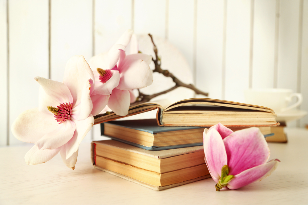 Schöne alte Klassiker mit Magnolie